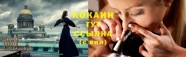 стафф Дмитров