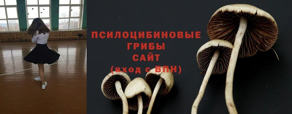 прущая мука Дмитровск