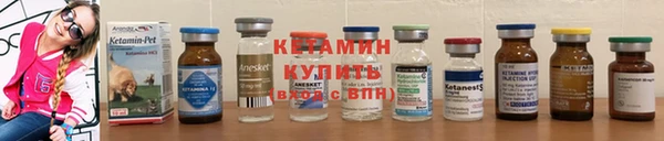 стафф Дмитров